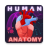 icon Human Anatomy E Theories 0.32