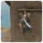 icon Tower Ninja Assassin Warrior 3.6