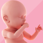icon Pregnancy