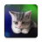 icon Sleepy Kitten Live Wallpaper 1.1.1