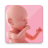 icon Pregnancy 1.2.7