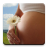 icon ru.fedr.pregnancy 2.4.1