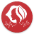 icon Anasalva 3.2.20