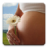 icon ru.fedr.pregnancy 2.3.4