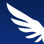 icon IR