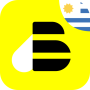 icon BEES