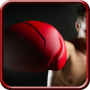 icon Top Boxing Games