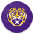 icon LSU Sports 10.5.2