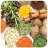 icon Ayurvedic Upchar 1.0.5