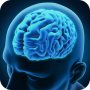 icon Cerebrum