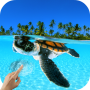 icon Turtle Underwater 3D Wallpaper