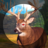 icon Deer Hunting Classic 1