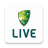 icon Cricket 12.0.8