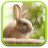 icon Cute Animals Live Wallpaper 1.0.2