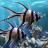 icon The real aquariumfree 2.33