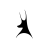icon AFC Telford United 2.0.43