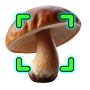 icon Mushroomizer