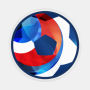 icon WC 2026