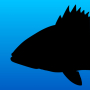 icon Fish Rules