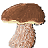 icon Mushroomizer 3.2.0