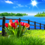 icon Spring Flowers Live Wallpaper