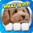 icon Guess it! 1.41.0