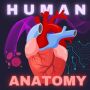 icon Human Anatomy E Theories