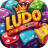 icon Ludo King Game 1.0