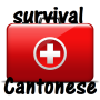icon Cantonese Survival Kit