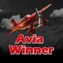 icon Avia Winner