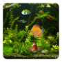 icon Aquarium Live Wallpaper