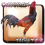 icon com.pooandplay.chickenfighterindonesia