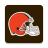 icon Browns 6.7.5