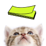 icon CAT MEMO